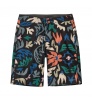 Шорти Patagonia Hydropeak Boardshorts 21